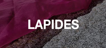 373 170LAPIDES