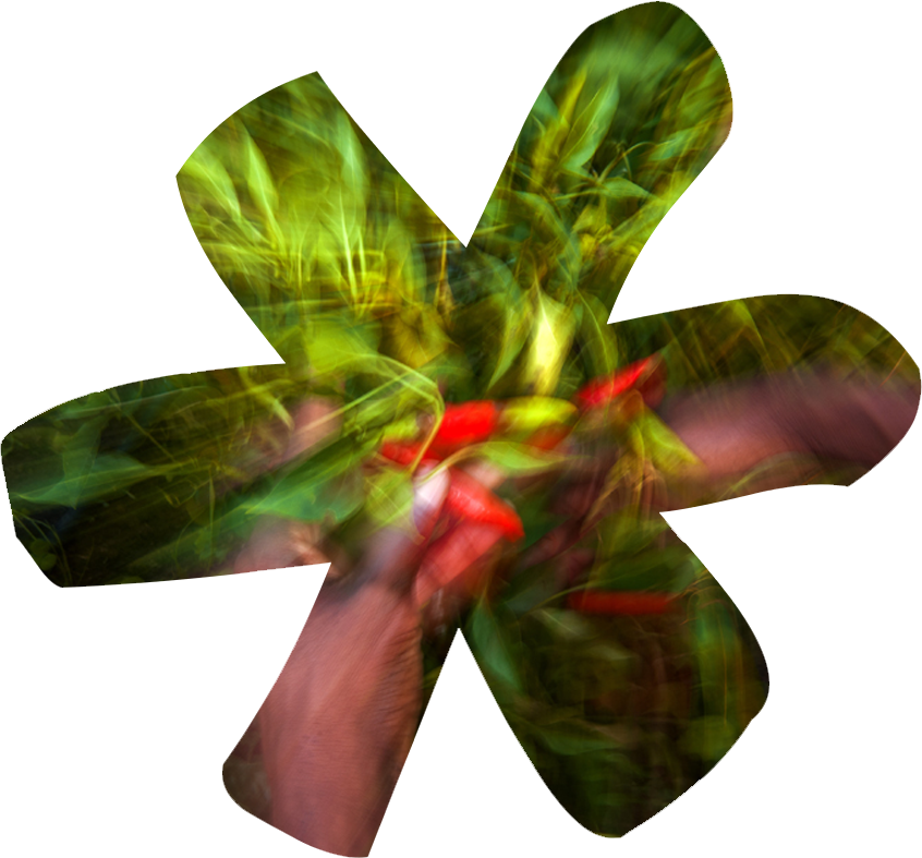 Comm 0003 pepper1