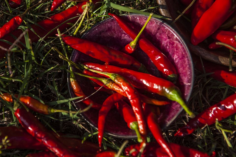 RedLivingPepper 19