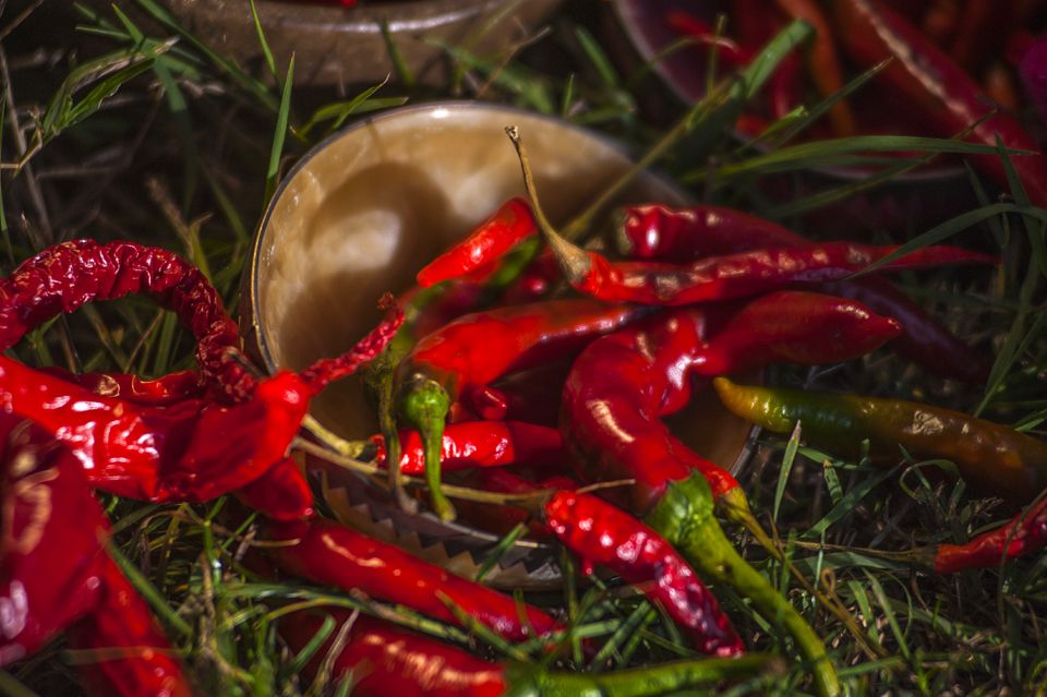 RedLivingPepper 23