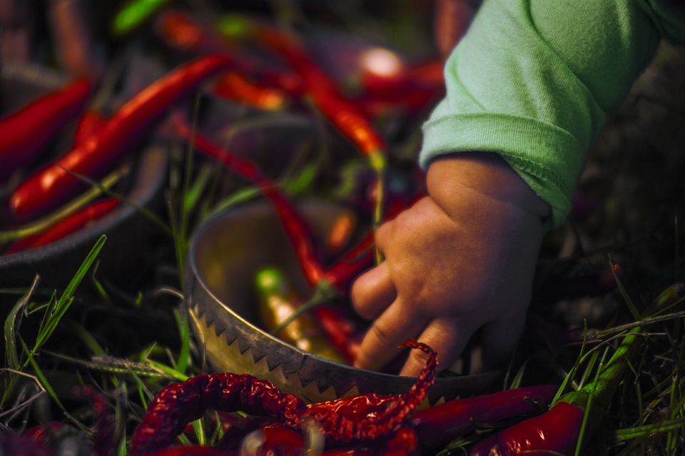 RedLivingPepper 24