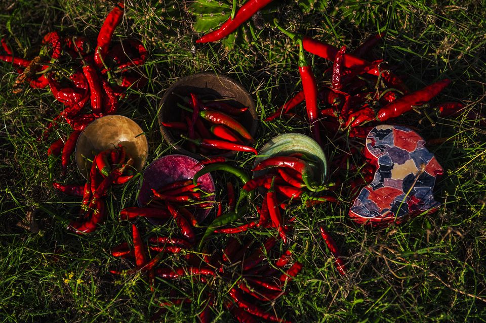 RedLivingPepper 27